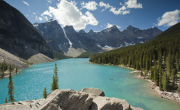 Photography and Design Related Blog Articles